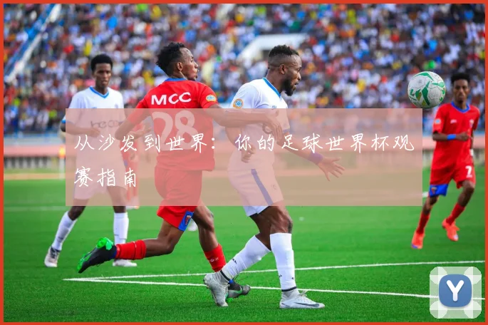 从沙发到世界:你的足球世界杯观赛指南